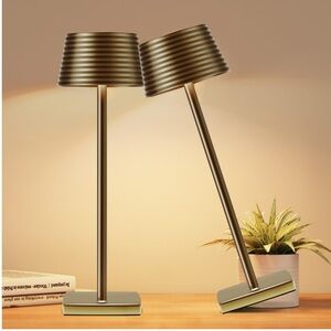 Modern Gold Table Lamp-Set of 2